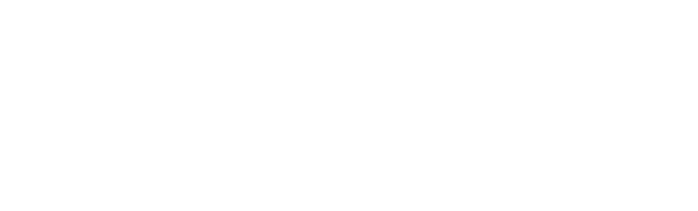 Toridd